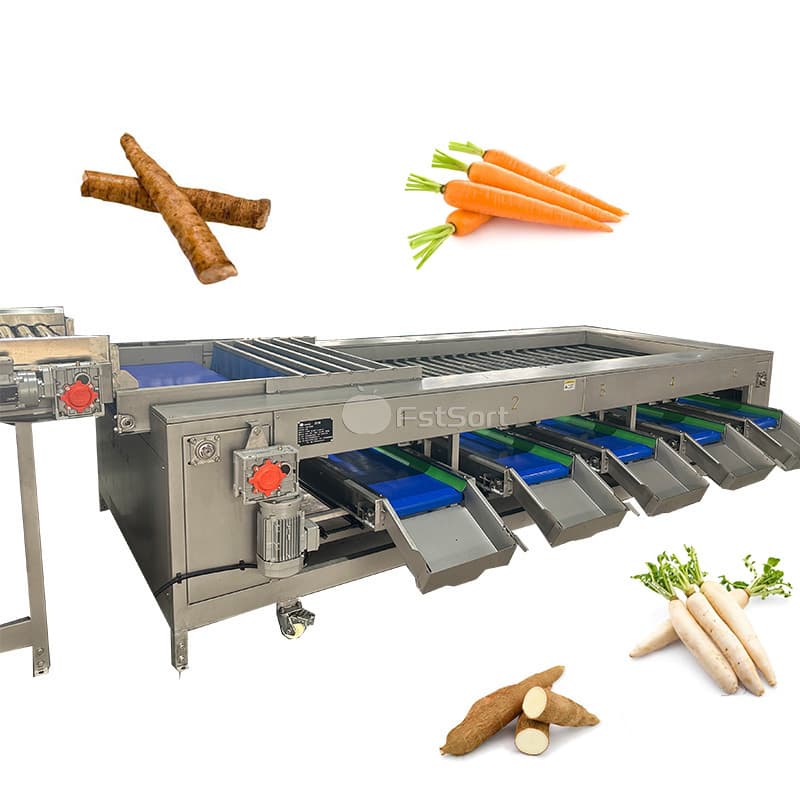 images/1764555805548burdock root 2.jpg